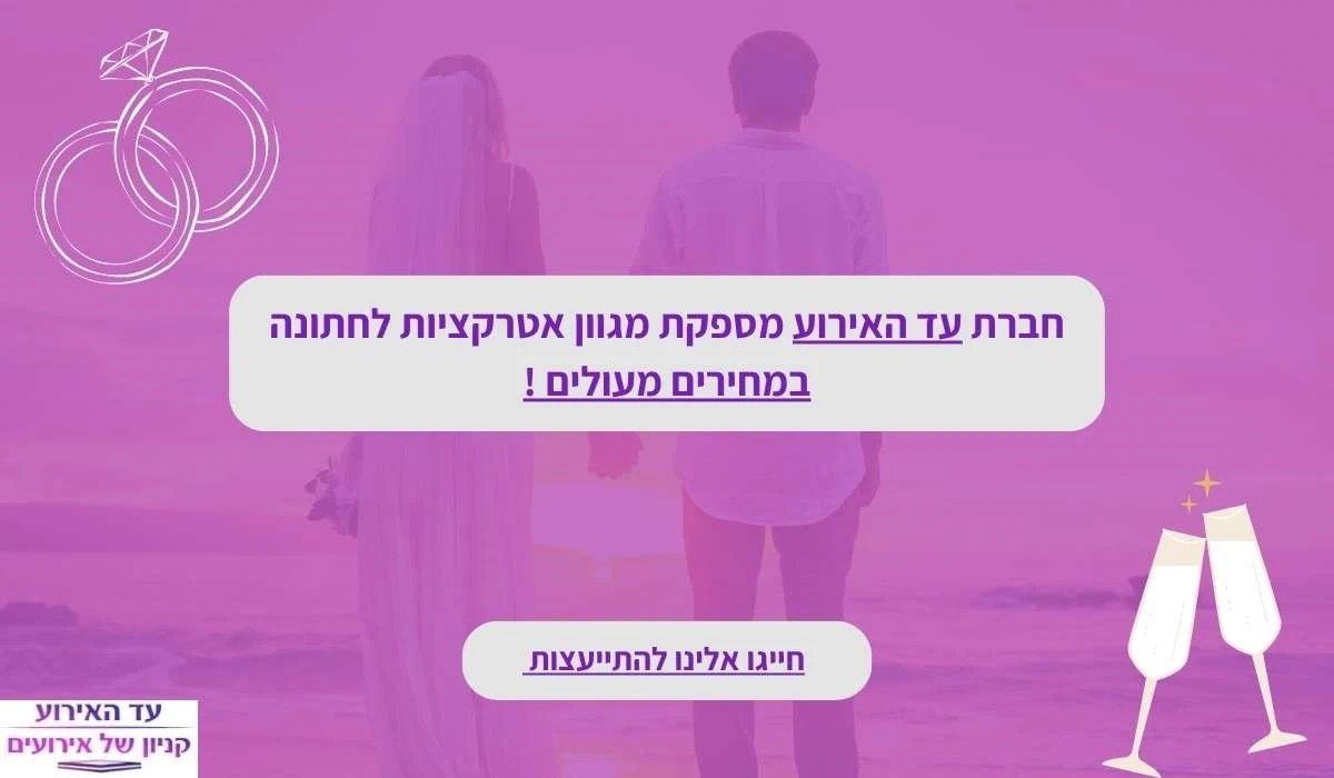 באנר שיווקי אטרקציות לחתונה